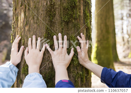 Parent and child receiving power by touching the sacred tree at the shrine 110637057