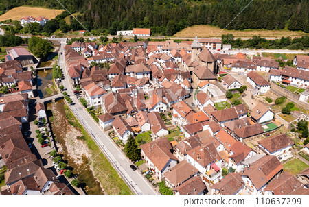 Aerial view of Ochagavia, Spain 110637299