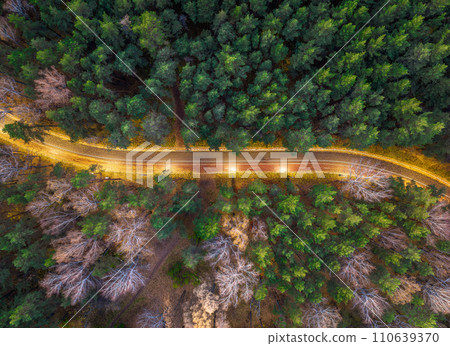Aerial view of road in beautiful autumn forest at sunset. Beautiful landscape with empty rural road, trees with red and orange leaves. Aerial view of road in beautiful autumn forest at sunset. Beautiful landscape with empty rural road, trees with red and orange leaves. 110639370