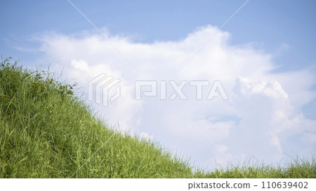 A refreshing blue sky and prairie in the summer A refreshing blue sky and prairie in the summer 110639402