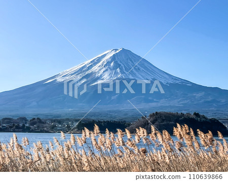 從河口湖畔的大石公園眺望元旦的富士山 110639866