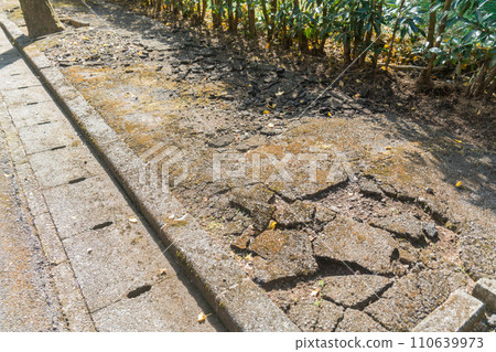 人行道嚴重受損，路面龜裂 110639973