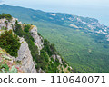 A high mountain with trees, which offers a beautiful view. 110640071