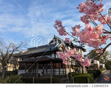 今井町 今井町 110640554