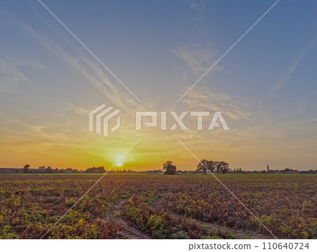 Harvest Sunset: A Tranquil Rural Tapestry Harvest Sunset: A Tranquil Rural Tapestry 110640724