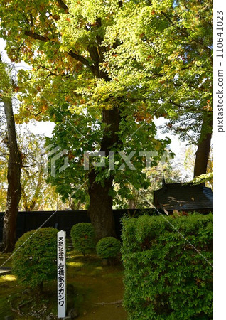 秋天Kakunoda武士房子 110641023