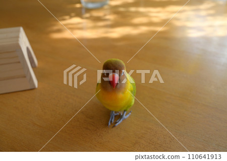 Button cork Button cork 110641913