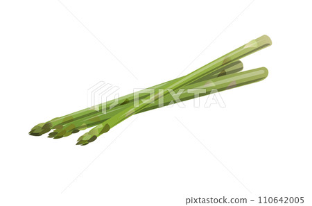 Fresh asparagus illustration material 110642005