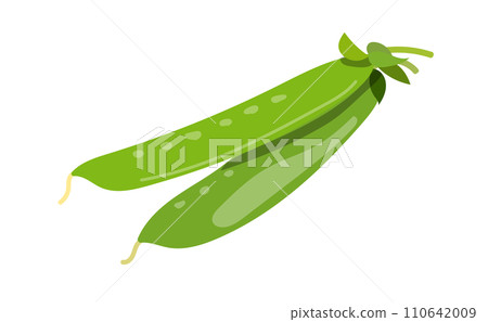 新鮮荷蘭豆插畫素材 110642009