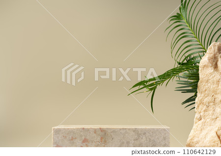Granite stone with branch green leaf on beige background 110642129