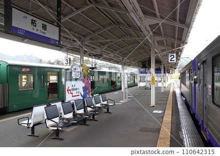 Kusatsu Line/Kansai Main Line stopping at Tsuge Station 110642315