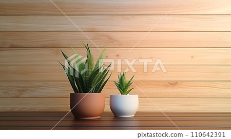 植物裝飾室內 110642391
