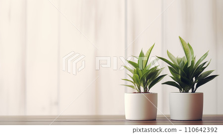 植物裝飾室內 110642392