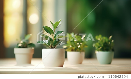 植物裝飾室內 110642394