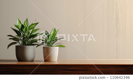 Plant decor interior Plant decor interior 110642396