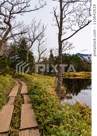 《Shiretoko National Park》 Natural scenery of Shiretoko Goko Lakes Promenade 《Shiretoko National Park》 Natural scenery of Shiretoko Goko Lakes Promenade 110642639