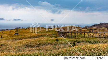 知床國立公園、知床五湖、北海道、知床湖散步路線 110642646