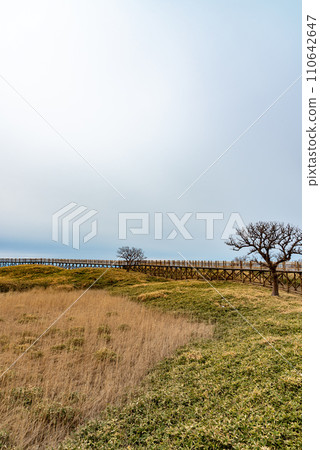 知床國立公園、知床五湖、北海道、知床湖散步路線 110642647