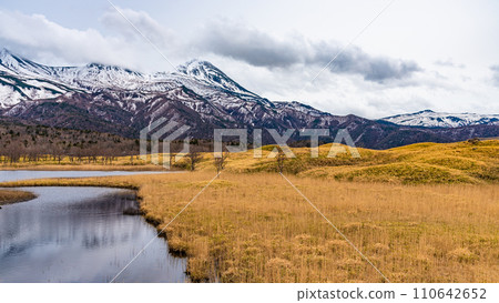 《知床國立公園》知床五湖一湖山、森林、湖北海道春五月 110642652