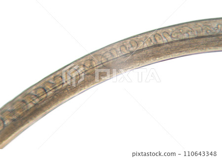 Study of Parasitic helminths (Trematodes) and Ascaris of fishes under a microscope. Study of Parasitic helminths (Trematodes) and Ascaris of fishes under a microscope. 110643348