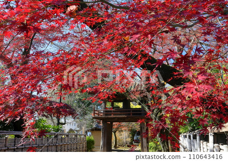 埼玉縣川越市古仙馬町秋葉楓和天台宗特別元山中院的鐘樓門 110643416