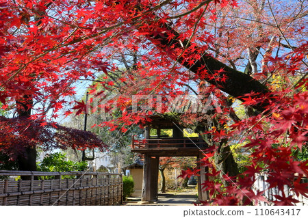 埼玉縣川越市古仙馬町秋葉楓和天台宗特別元山中院的鐘樓門 110643417