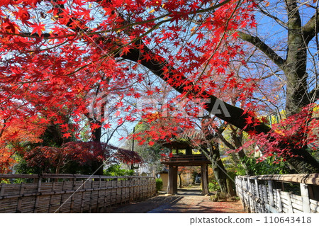 埼玉縣川越市古仙馬町秋葉楓和天台宗特別元山中院的鐘樓門 110643418