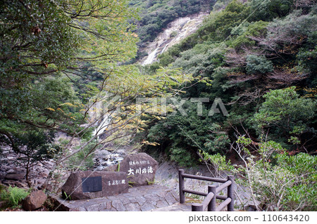 屋久島大川瀑布 屋久島大川瀑布 110643420