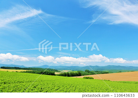 Hokkaido summer blue sky and Biei landscape 110643633