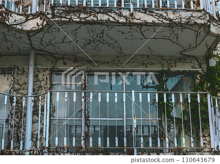 Windows and verandah of an old building that has been invaded by plants 110643679