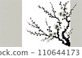 室內白色和紅色梅花的插圖，白色背景有櫻花樹枝 110644173