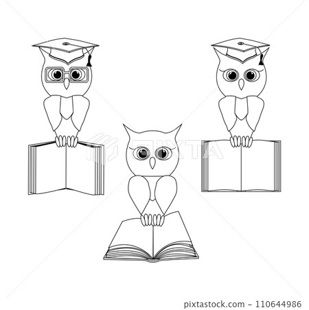 Sketch owls set in a graduate hat holds an open empty book in his paws. Vector outline owl character in black line flat style Sketch owls set in a graduate hat holds an open empty book in his paws. Vector outline owl character in black line flat style 110644986