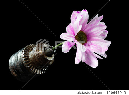 Old rusty drill head and chrysanthemum on a black background. Old rusty drill head and chrysanthemum on a black background. 110645043