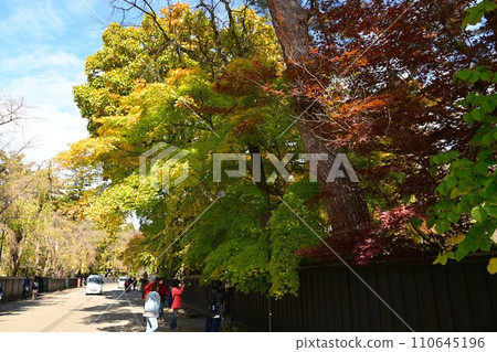 The autumn Kakunoda samurai house The autumn Kakunoda samurai house 110645196