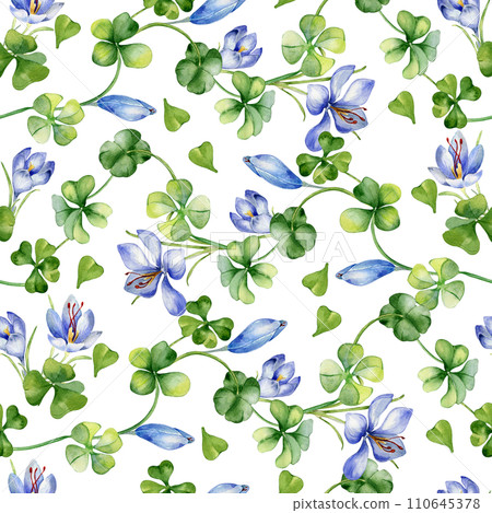 Watercolor seamless pattern with saffron and clover isolated on white. Painted herbal plants and flowers. Hand drawn Irish symbol. Design for St.Patricks day, Easter backdrop, package, textile Watercolor seamless pattern with saffron and clover isolated on white. Painted herbal plants and flowers. Hand drawn Irish symbol. Design for St.Patricks day, Easter backdrop, package, textile 110645378