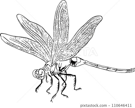 浮世繪蜻蜓第3部分 110646411