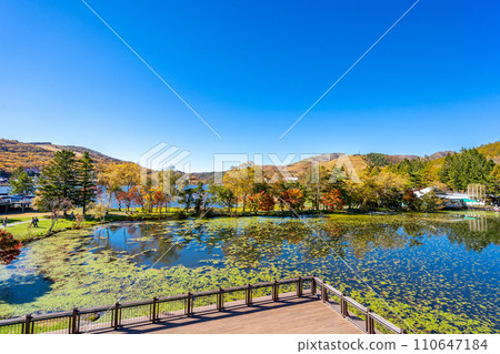 Lake Shirakaba Shirakaba Resort Lakeside Garden Ikenotaira Family Land 110647184