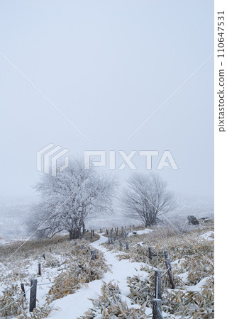 Kirigamine plateau with snowy scenery Kirigamine plateau with snowy scenery 110647531