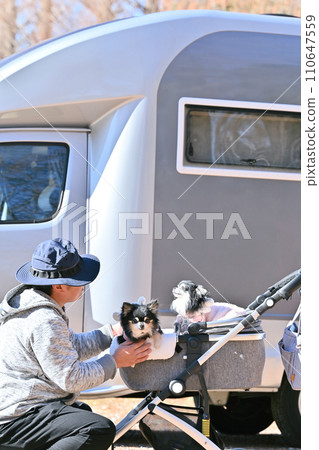 Drive with your dog in a camper - Chihuahua 110647559