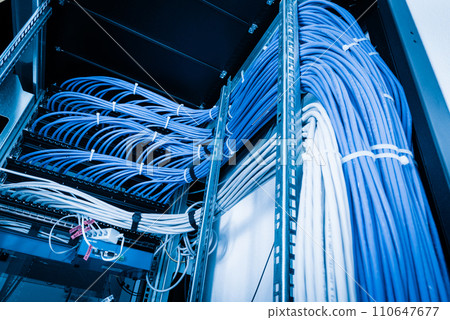 bunch of patch network cables sorted in rack cabinet, leading from patch panel in the server rack in the data center room bunch of patch network cables sorted in rack cabinet, leading from patch panel in the server rack in the data center room 110647677