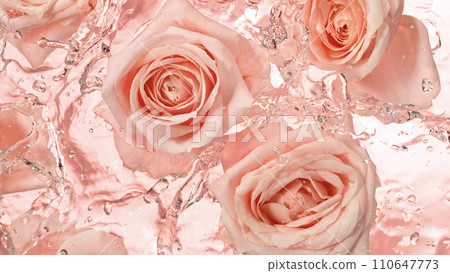 Close-up of rose blossoms falling on water surface, top down view 110647773