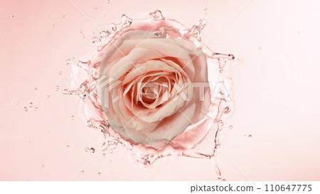 Close-up of rose blossom falling on water surface, top down view Close-up of rose blossom falling on water surface, top down view 110647775