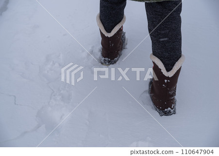 Walking in the snow Walking in the snow 110647904