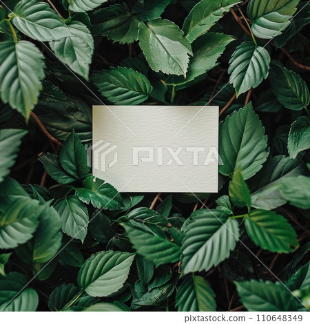 an empty paper card surrounded by green leaf an empty paper card surrounded by green leaf 110648349