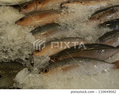 Okinawa's prefectural fish Gurukun Okinawa's prefectural fish Gurukun 110649082