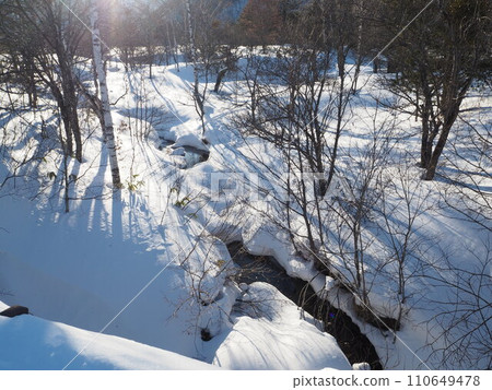 A stream flowing through a snow-covered forest in the winter sunshine 110649478