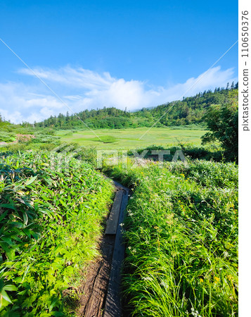 Climbing Mt. Hiuchi in summer (Takaya Pond) 110650376