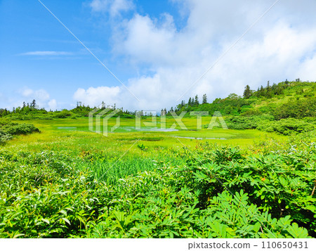 夏季攀登火內山（高谷池） 110650431