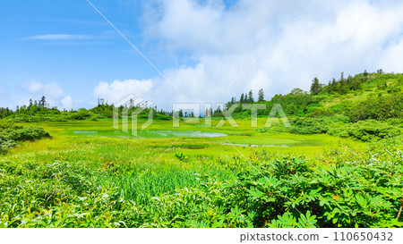 夏季攀登火內山(高谷池) 夏季攀登火內山(高谷池) 110650432