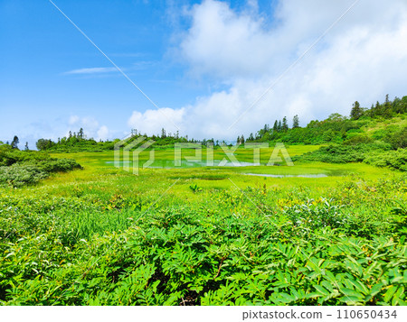 夏季攀登火內山(高谷池) 夏季攀登火內山(高谷池) 110650434